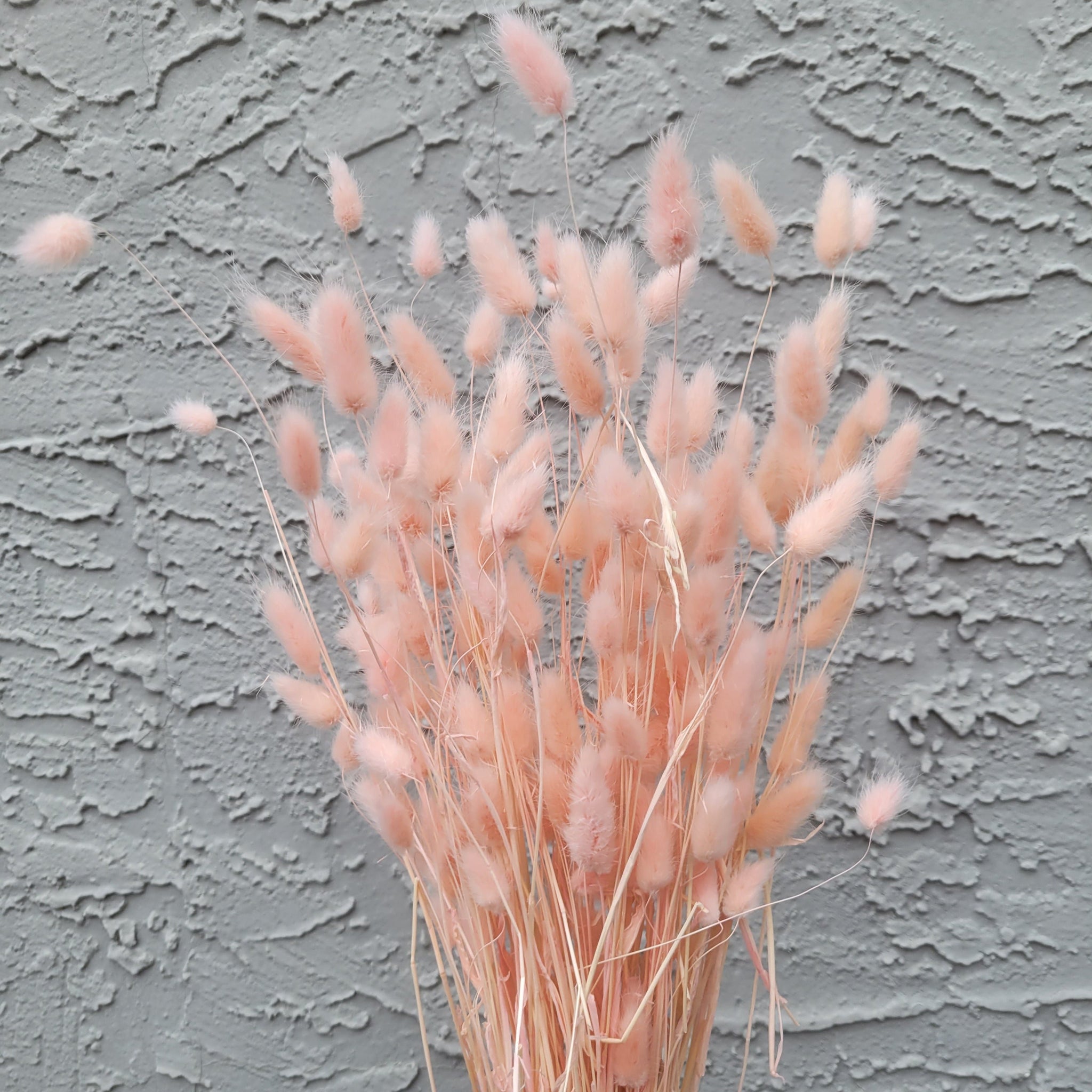 Dried Goods: Bunny Tails (Pink)