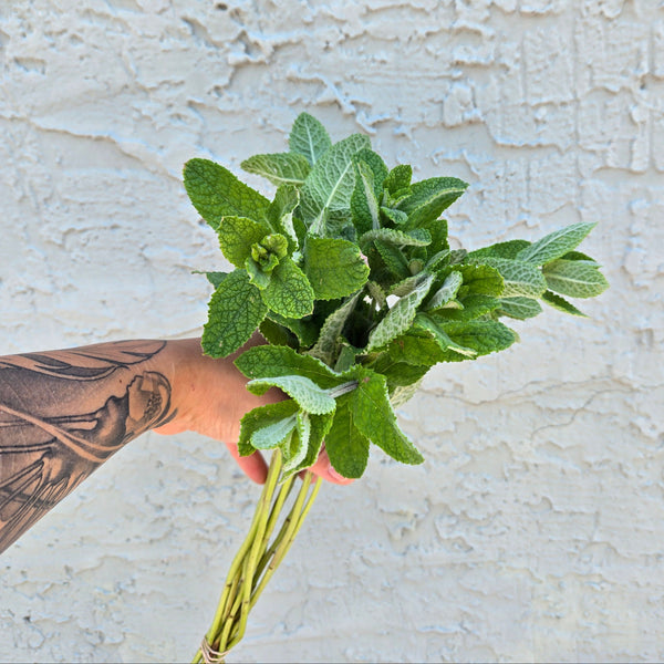 LOCAL Mint