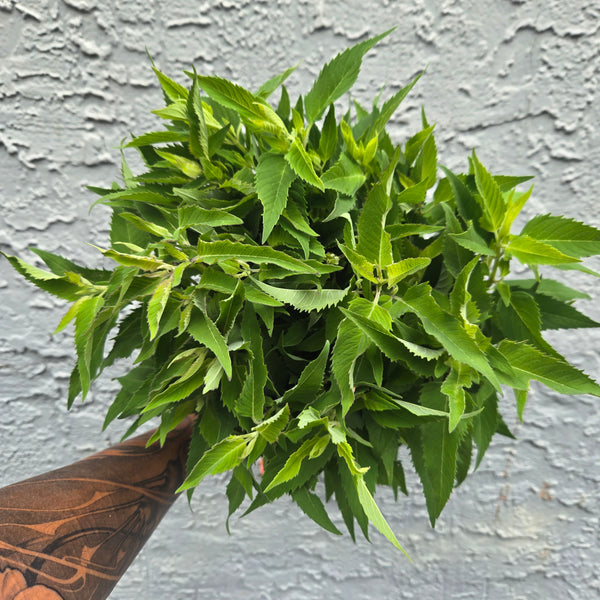 LOCAL Mint