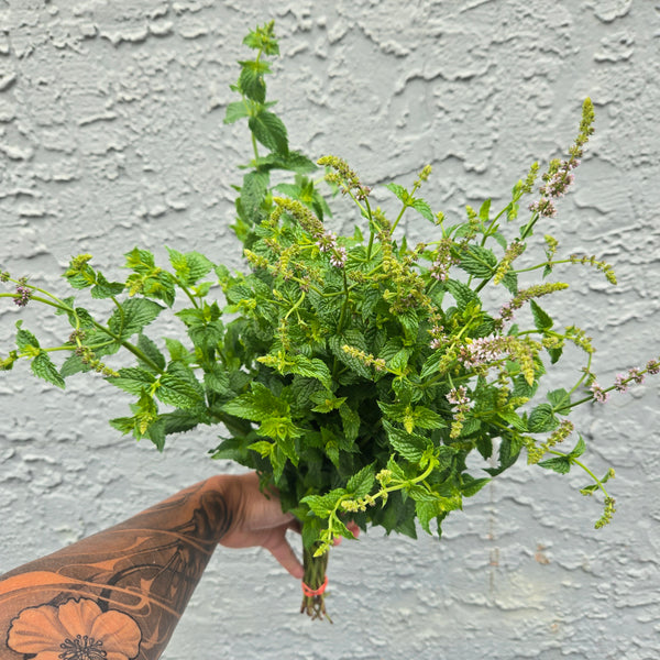 LOCAL Mint