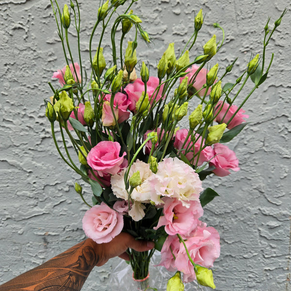 LOCAL Lisianthus
