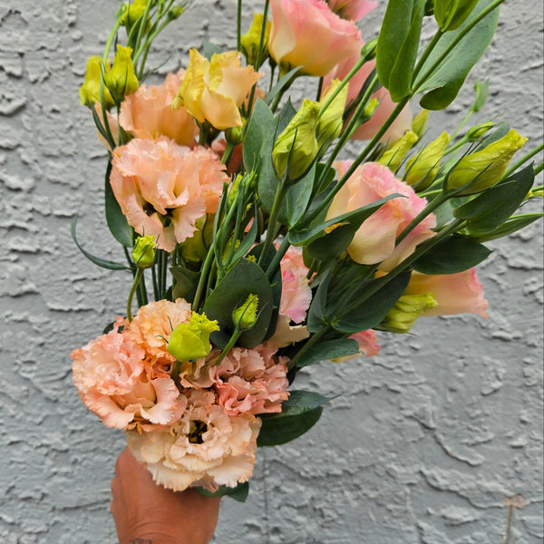 LOCAL Lisianthus