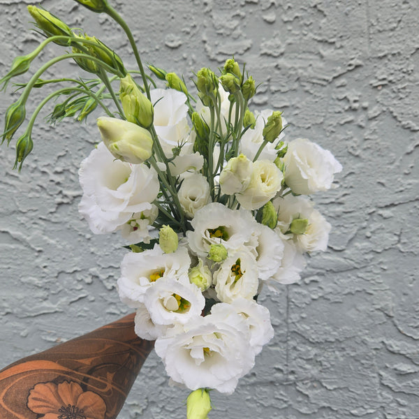 LOCAL Lisianthus