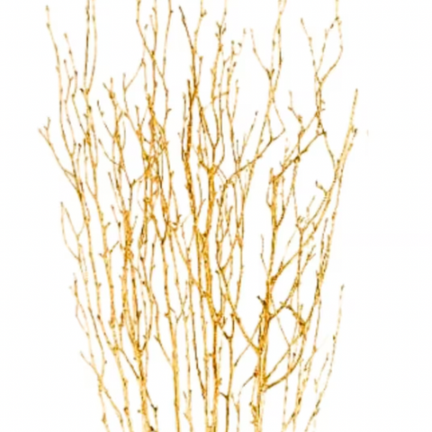 Branches | Sparkle Gold