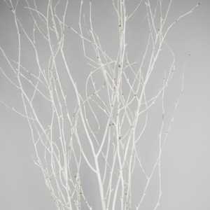 Branches | White Painted