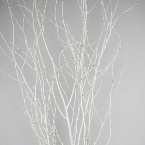 Branches | White Painted