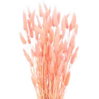 Dried Goods: Dried Bunny Tails (Pink)