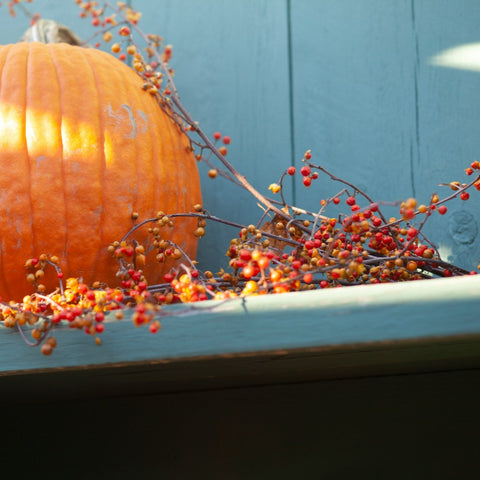 Autumn Styling: Dressing Up Doors and Planters
