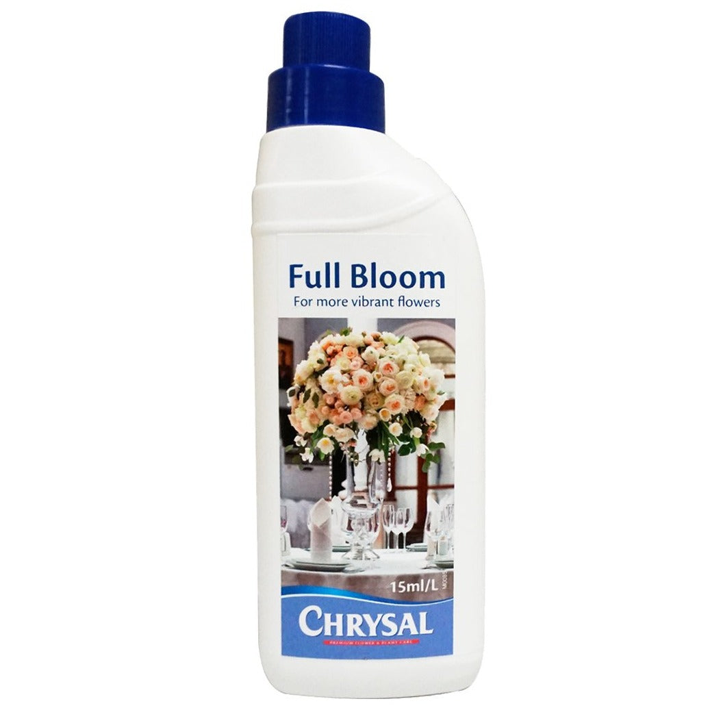 Chrysal Full Bloom
